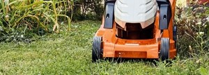 STIHL Rasenmher: optimal fr die Rasenpflege geeignet
