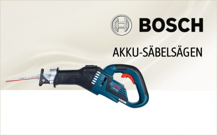 Bosch Akku-Sbelsgen