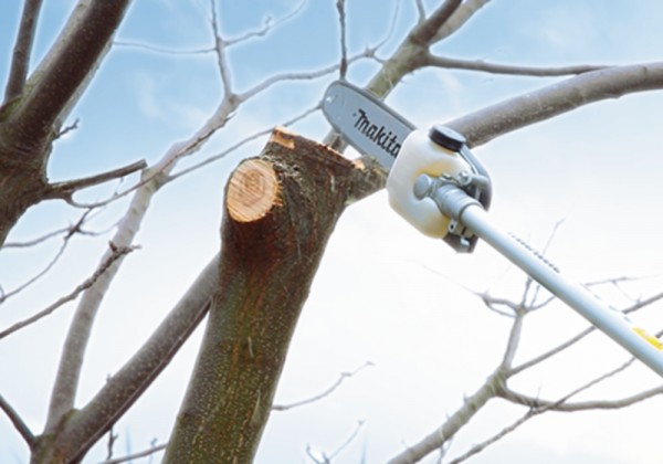 Makita Hochentaster