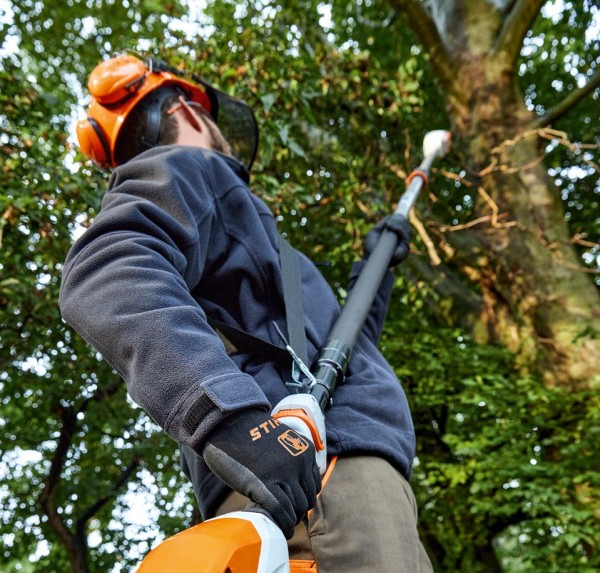 STIHL Hochentaster