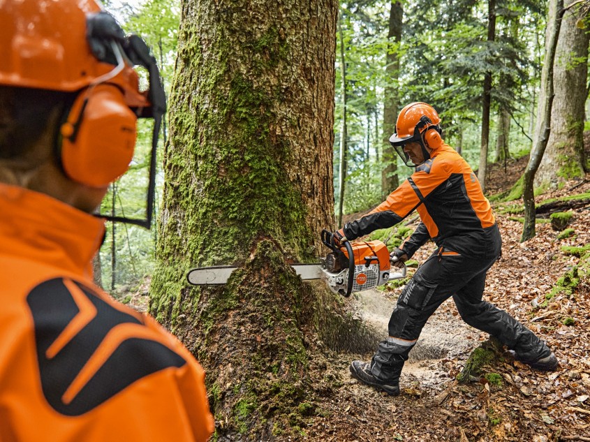 Werkzeuge und Forstzubehör: die passende Ausstattung für Waldarbeiter
