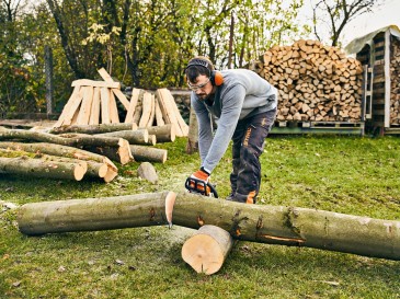 Brennholz selber machen und richtig lagern: So gehen Sie vor